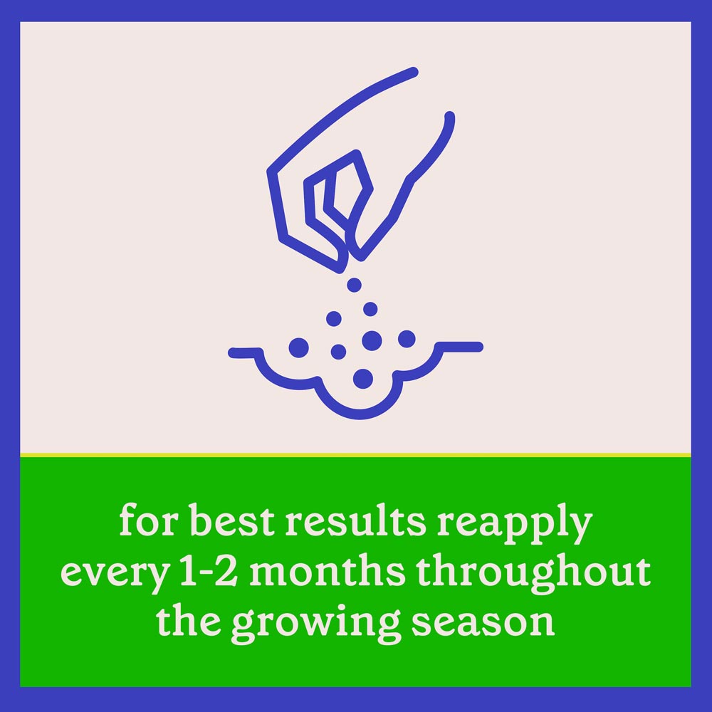 DG367-PE-Rejuvenate-Plant-Food-All-Purpose-4-4-4-Alt-Images-11