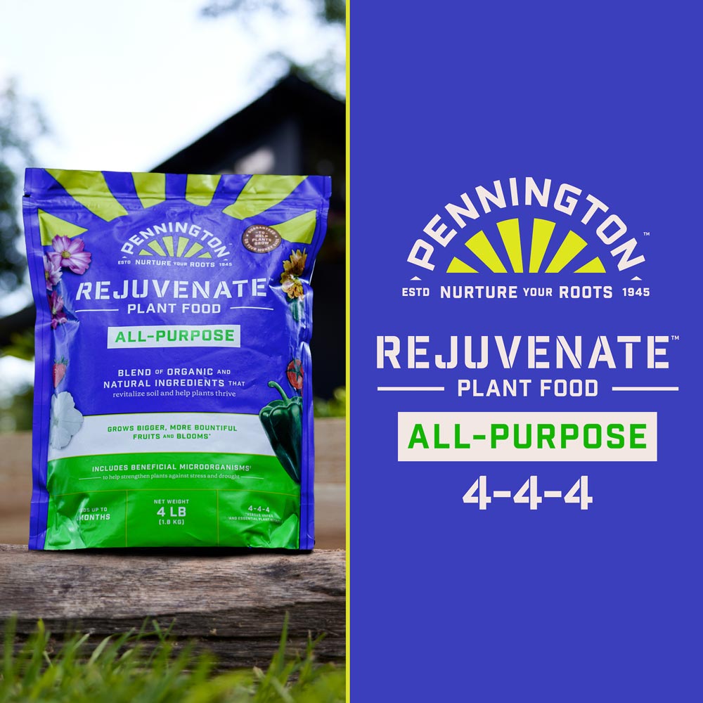 DG367-PE-Rejuvenate-Plant-Food-All-Purpose-4-4-4-Alt-Images-13