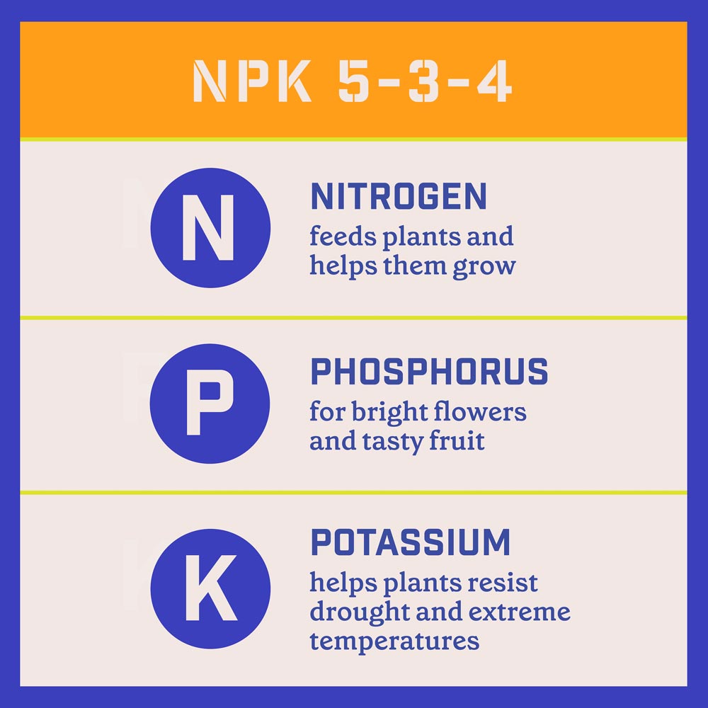 DG368-PE-Rejuvenate-Plant-Food-Citrus-Avocado-5-3-4-Alt-Images-10