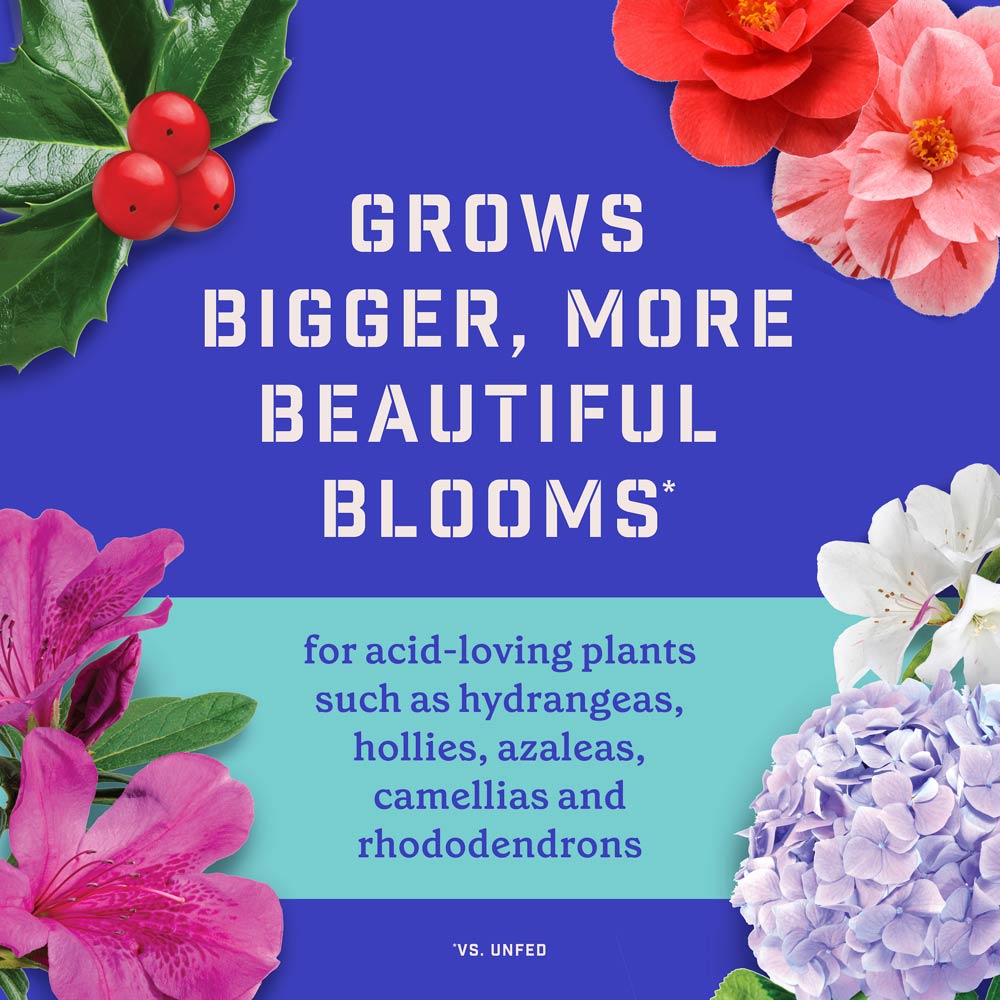 DG369-PE-Rejuvenate-Plant-Food-Evergreen-Azalea-4-3-3-Alt-Images-04