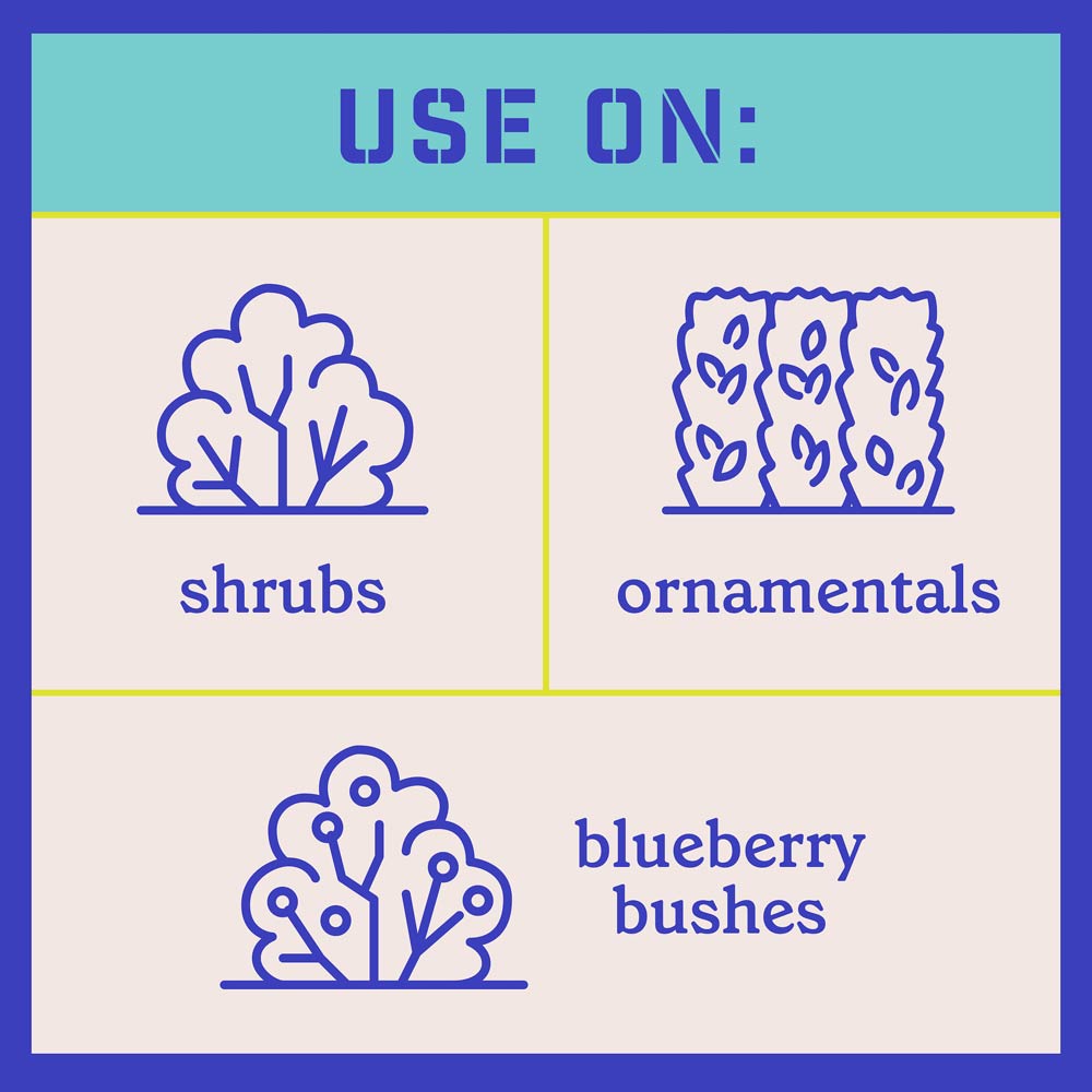 DG369-PE-Rejuvenate-Plant-Food-Evergreen-Azalea-4-3-3-Alt-Images-07