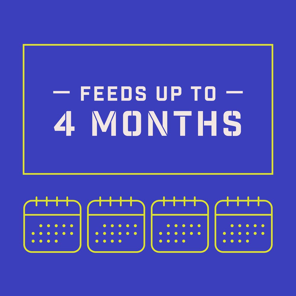 DG369-PE-Rejuvenate-Plant-Food-Evergreen-Azalea-4-3-3-Alt-Images-09