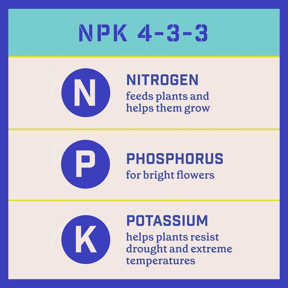 DG369-PE-Rejuvenate-Plant-Food-Evergreen-Azalea-4-3-3-Alt-Images-10