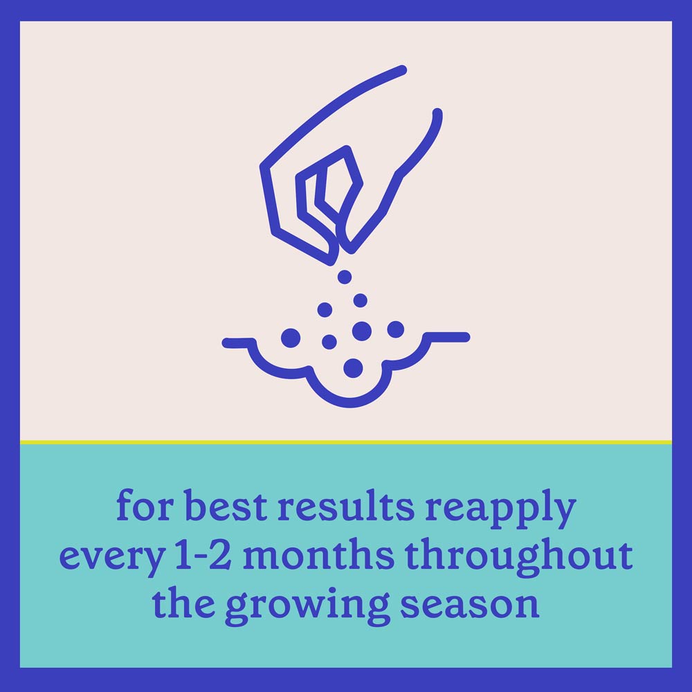 DG369-PE-Rejuvenate-Plant-Food-Evergreen-Azalea-4-3-3-Alt-Images-11