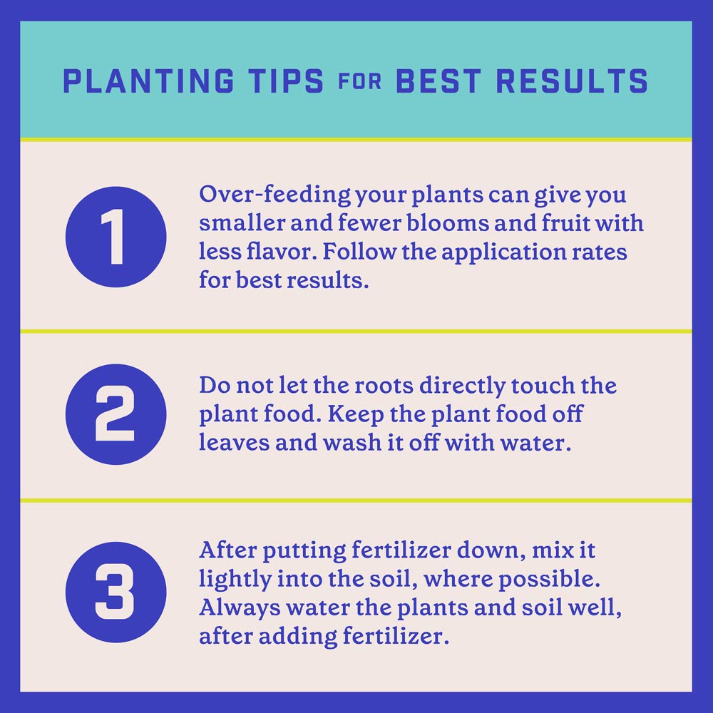 DG369-PE-Rejuvenate-Plant-Food-Evergreen-Azalea-4-3-3-Alt-Images-12