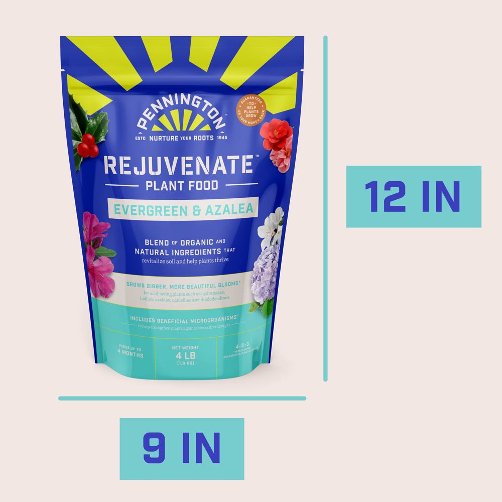 DG369-PE-Rejuvenate-Plant-Food-Evergreen-Azalea-4-3-3-Alt-Images-15