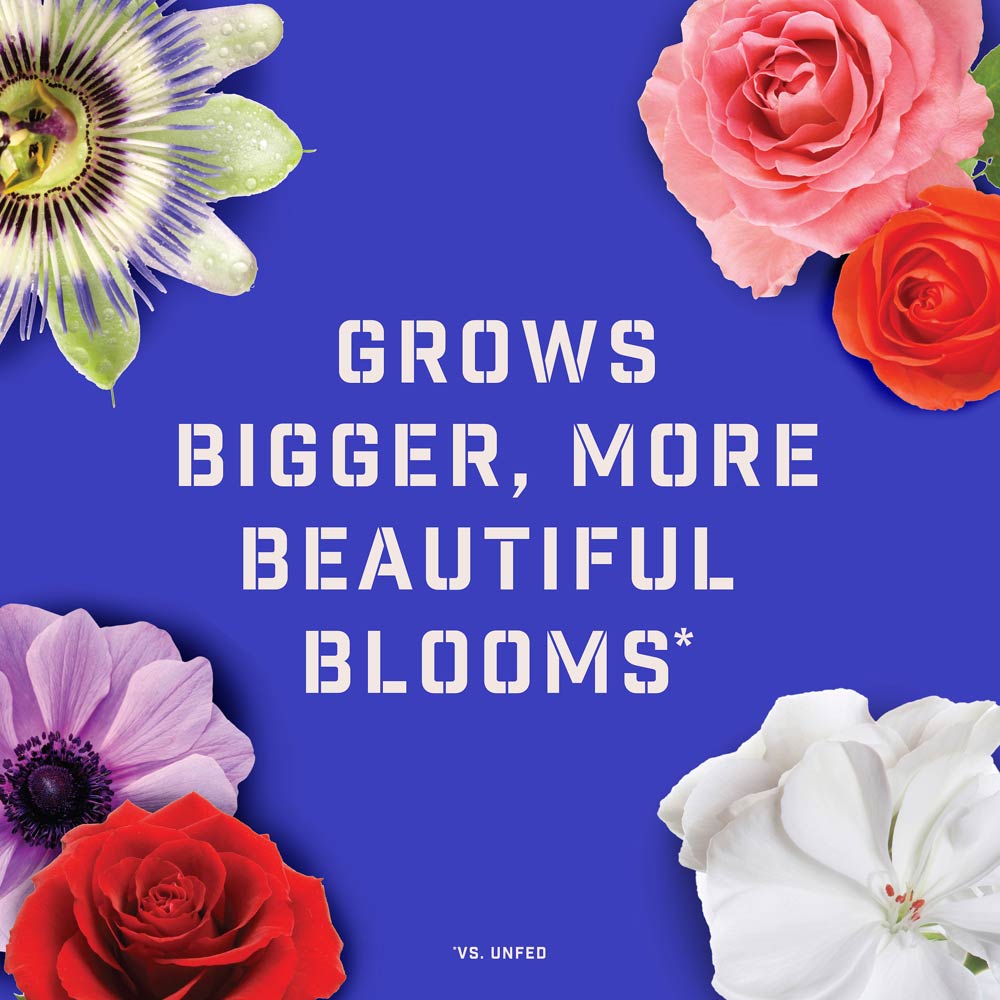 DG370-PE-Rejuvenate-Plant-Food-Rose-Flower-4-6-3-Alt-Images-04