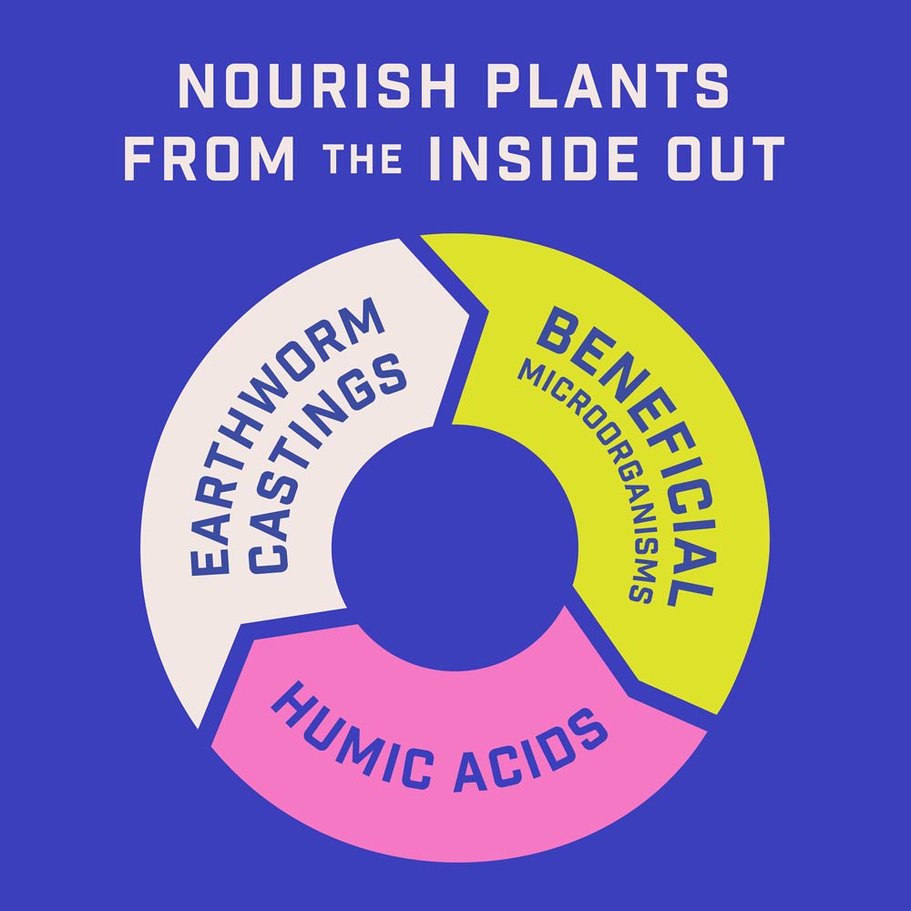 DG370-PE-Rejuvenate-Plant-Food-Rose-Flower-4-6-3-Alt-Images-06