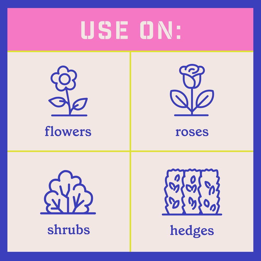 DG370-PE-Rejuvenate-Plant-Food-Rose-Flower-4-6-3-Alt-Images-07