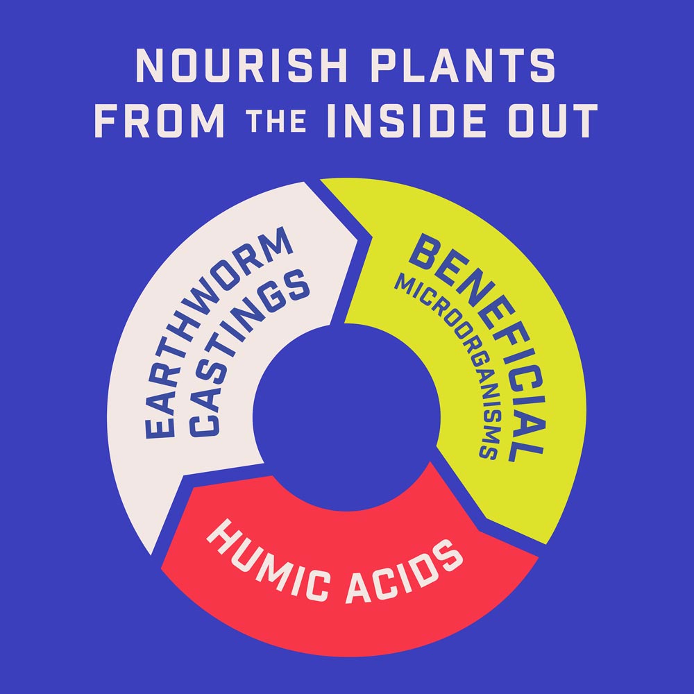 DG371-PE-Rejuvenate-Plant-Food-Tomato-Vegetable-4-5-4-Alt-Images-06