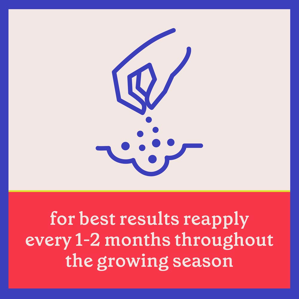 DG371-PE-Rejuvenate-Plant-Food-Tomato-Vegetable-4-5-4-Alt-Images-11