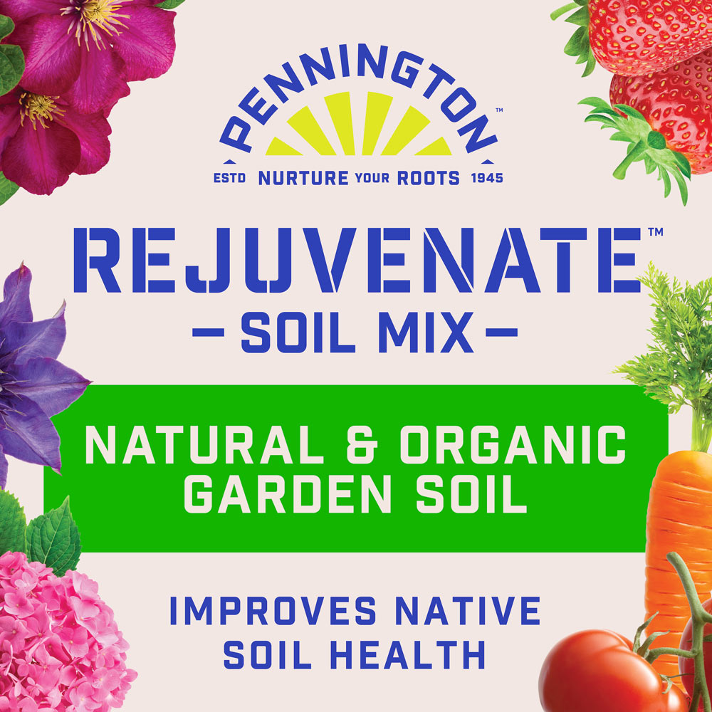 DG373-PE-Rejuvenate-Garden-Mix-Alt-Images-04