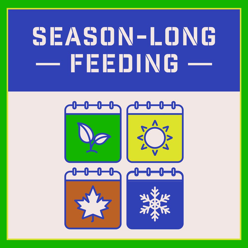 DG373-PE-Rejuvenate-Garden-Mix-Alt-Images-10