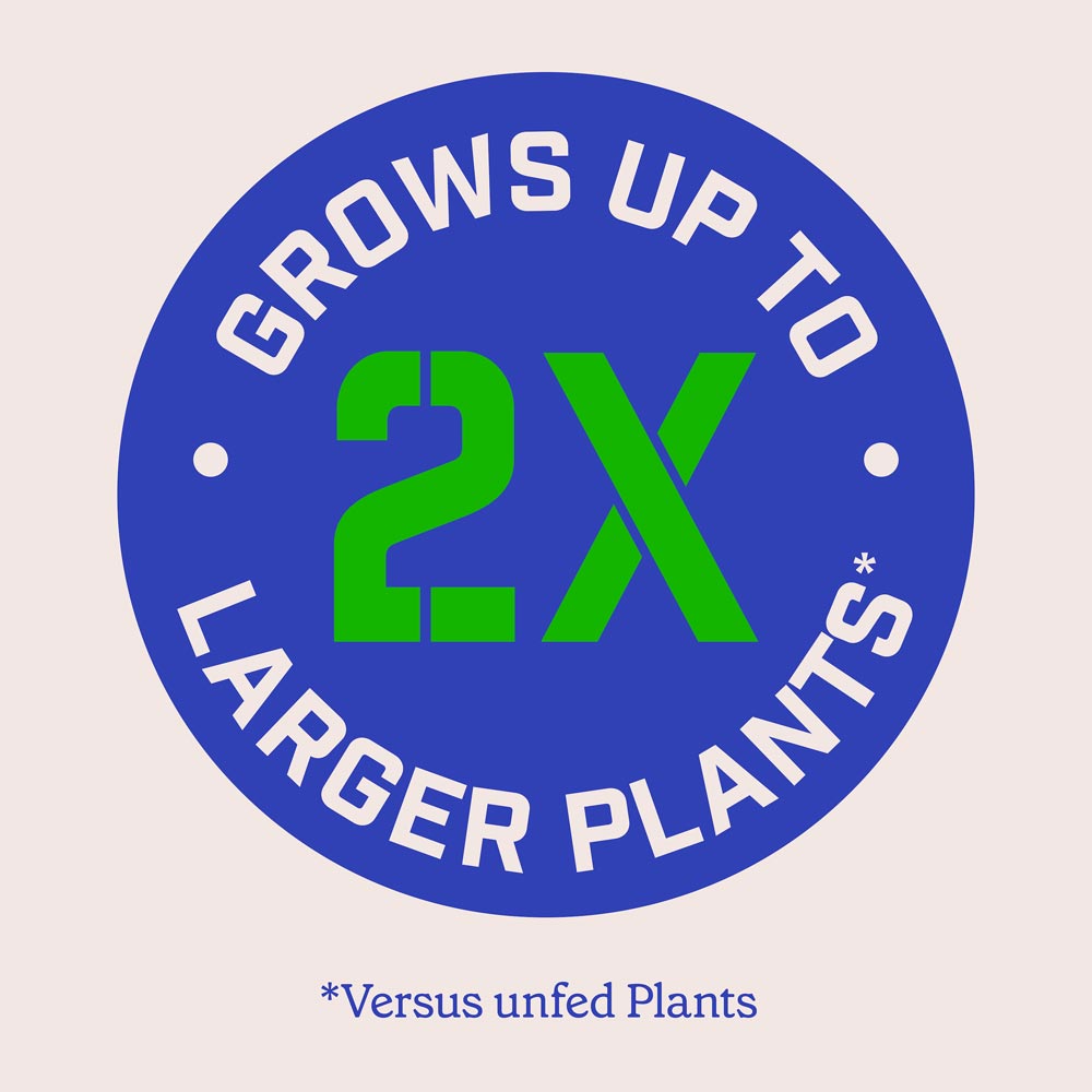 DG373-PE-Rejuvenate-Garden-Mix-Alt-Images-11