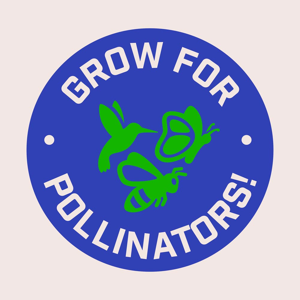 DG373-PE-Rejuvenate-Garden-Mix-Alt-Images-12