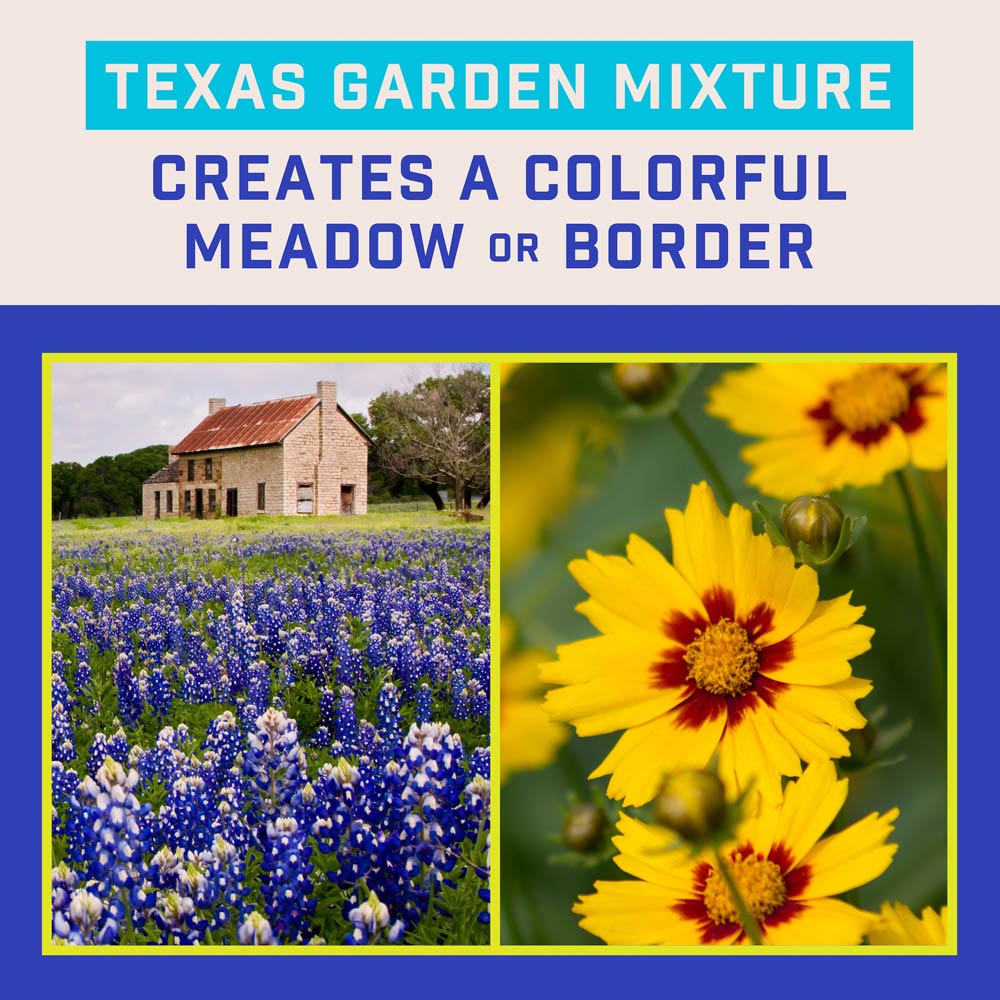 DG382-PE-Wildflower-Texas-Garden-Mix-Alt-Images-04