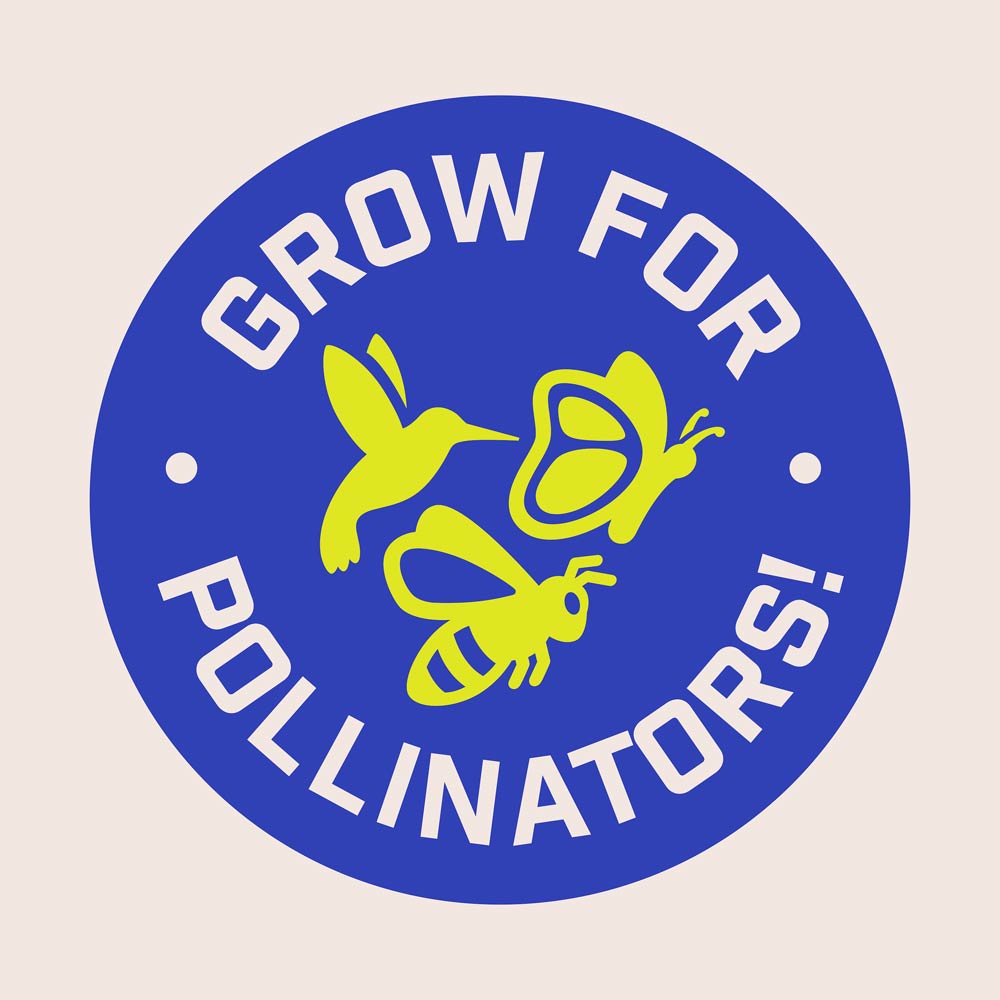 DG382-PE-Wildflower-Texas-Garden-Mix-Alt-Images-12