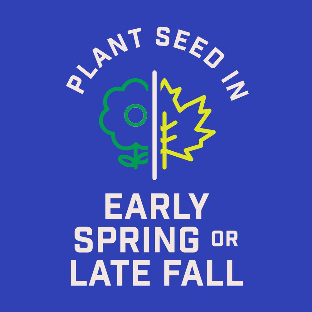 DG383-PE-Wildflower-Midwest-Garden-Mix-Alt-Images-06