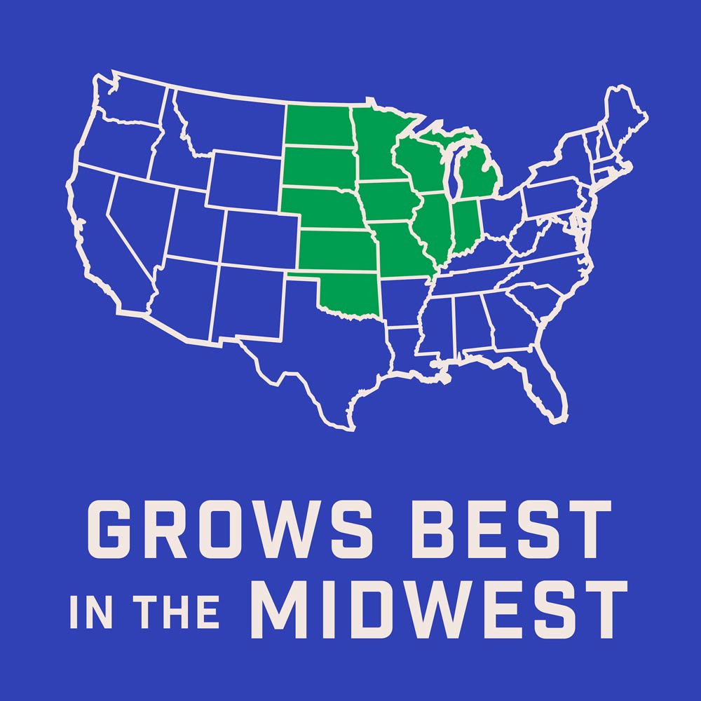 DG383-PE-Wildflower-Midwest-Garden-Mix-Alt-Images-07