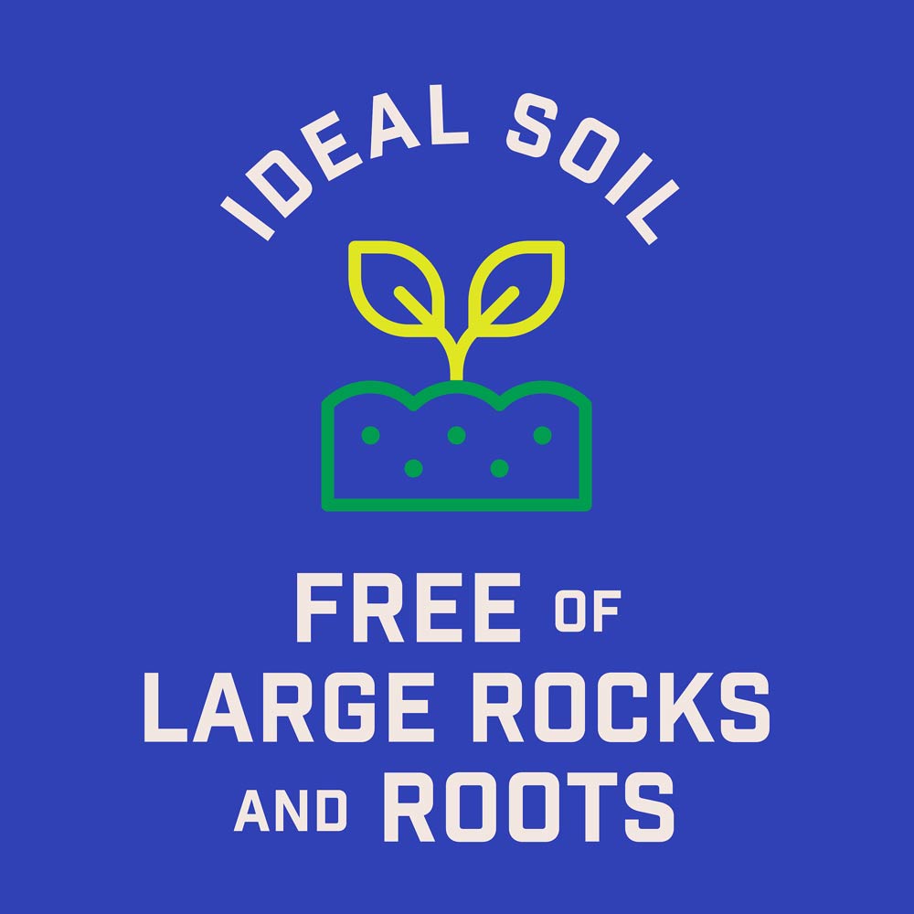 DG383-PE-Wildflower-Midwest-Garden-Mix-Alt-Images-10