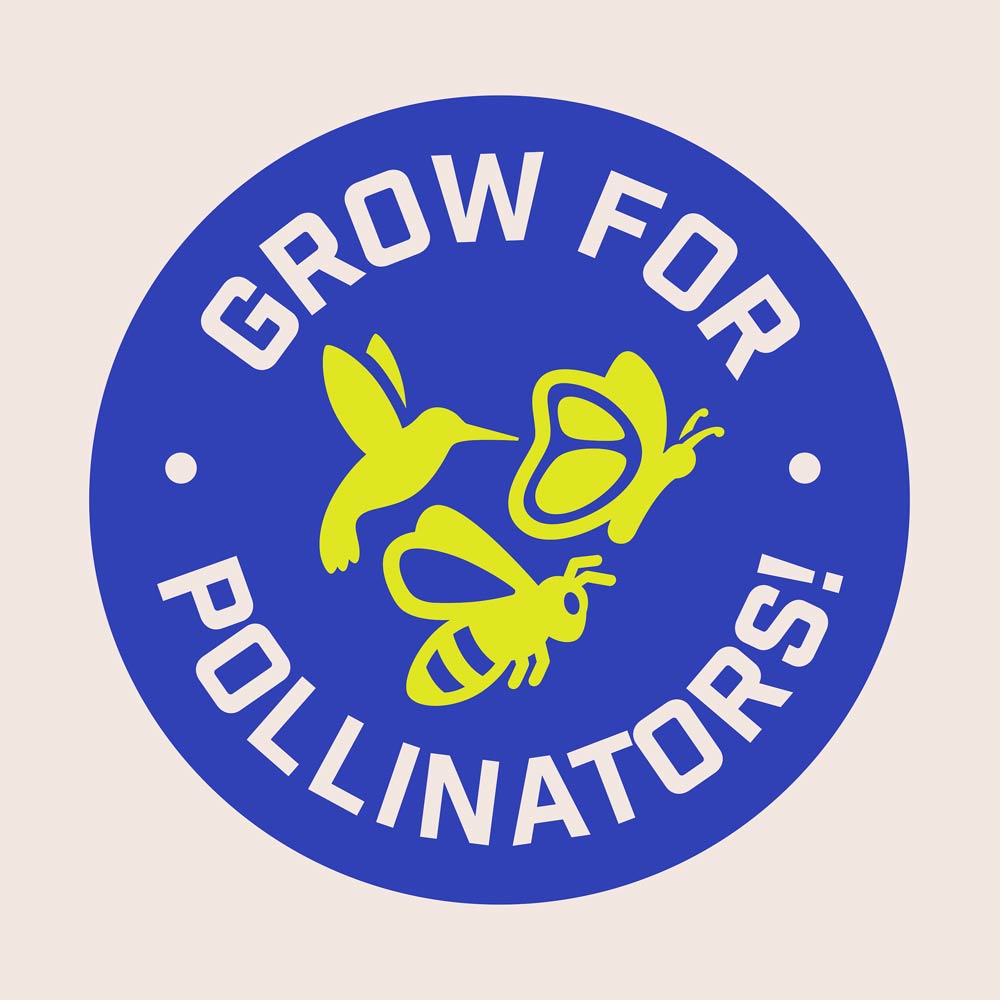 DG383-PE-Wildflower-Midwest-Garden-Mix-Alt-Images-12