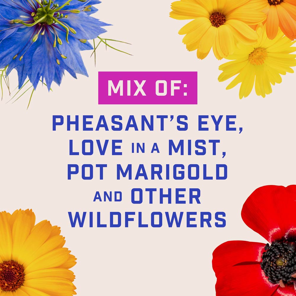 DG384-PE-Wildflower-Northeast-Mix-Alt-Images-05