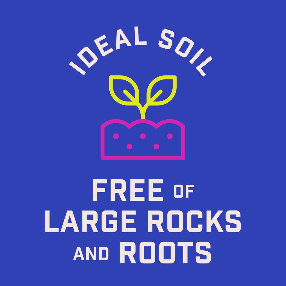 DG384-PE-Wildflower-Northeast-Mix-Alt-Images-10