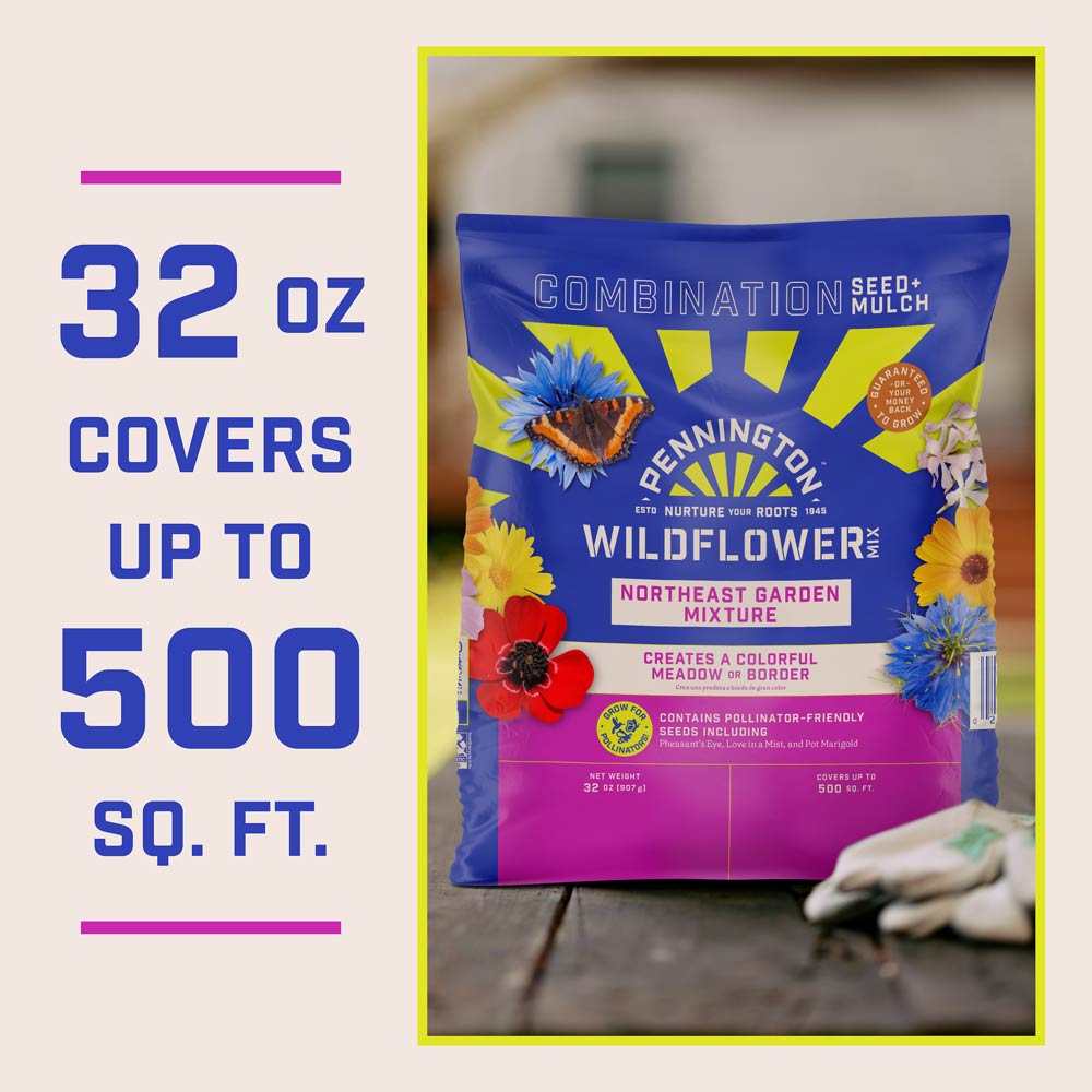 DG384-PE-Wildflower-Northeast-Mix-Alt-Images-11