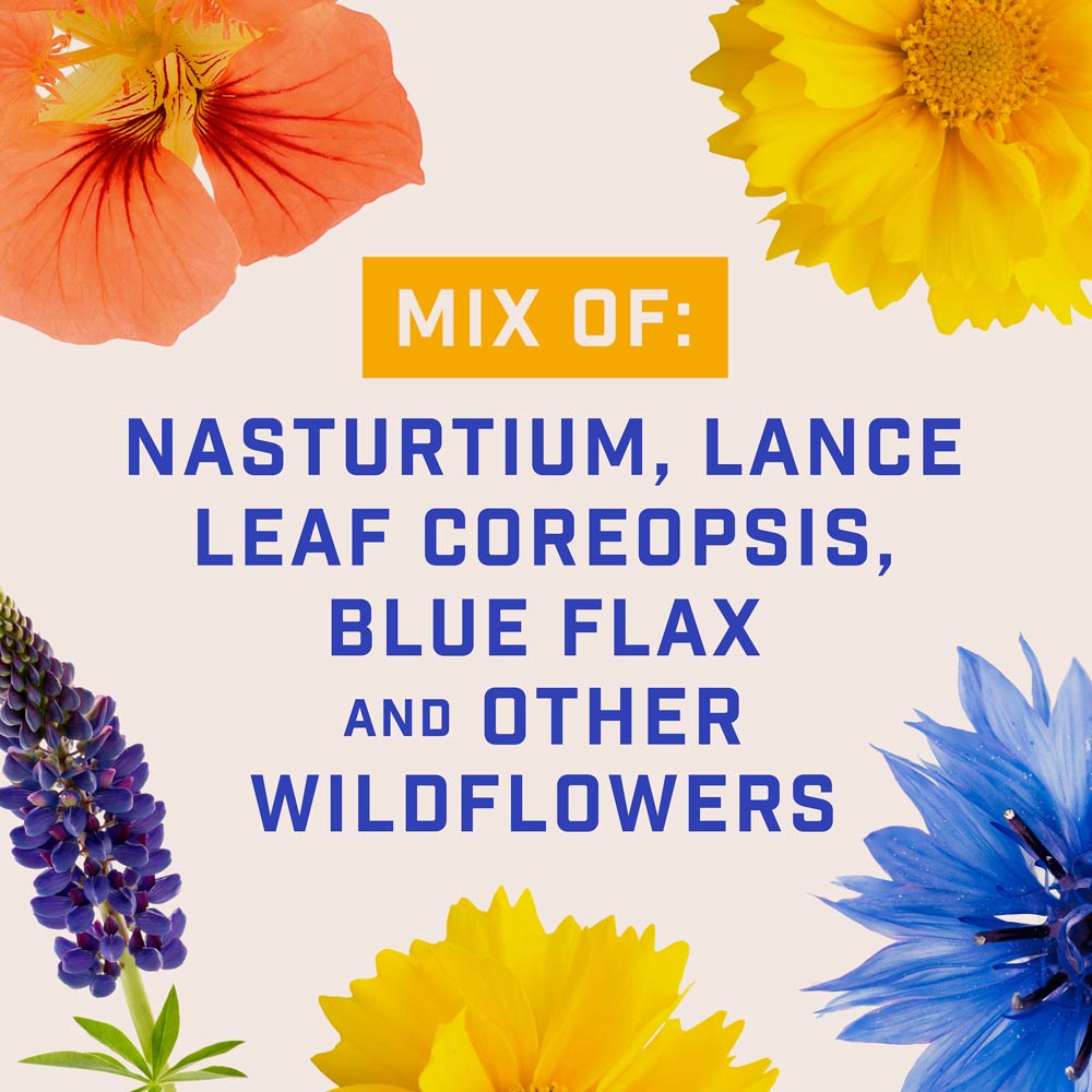 DG385-PE-Wildflower-Pacific-Northwest-Mix-Alt-Images-05