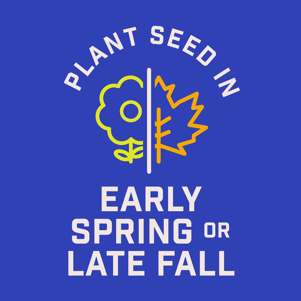 DG385-PE-Wildflower-Pacific-Northwest-Mix-Alt-Images-06