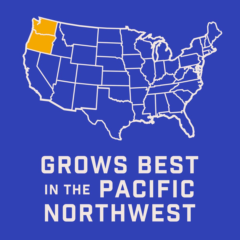 DG385-PE-Wildflower-Pacific-Northwest-Mix-Alt-Images-07