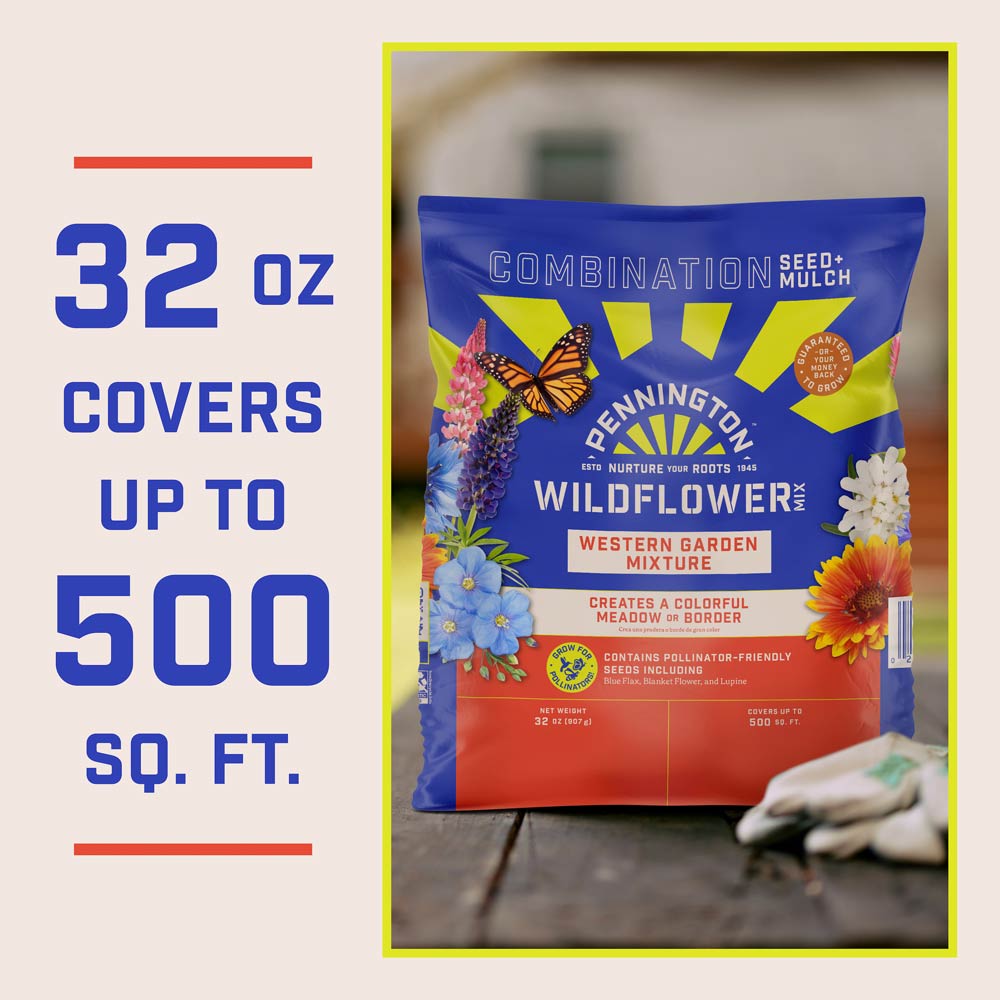 DG387-PE-Wildflower-Western-Garden-Mix-Alt-Images-11