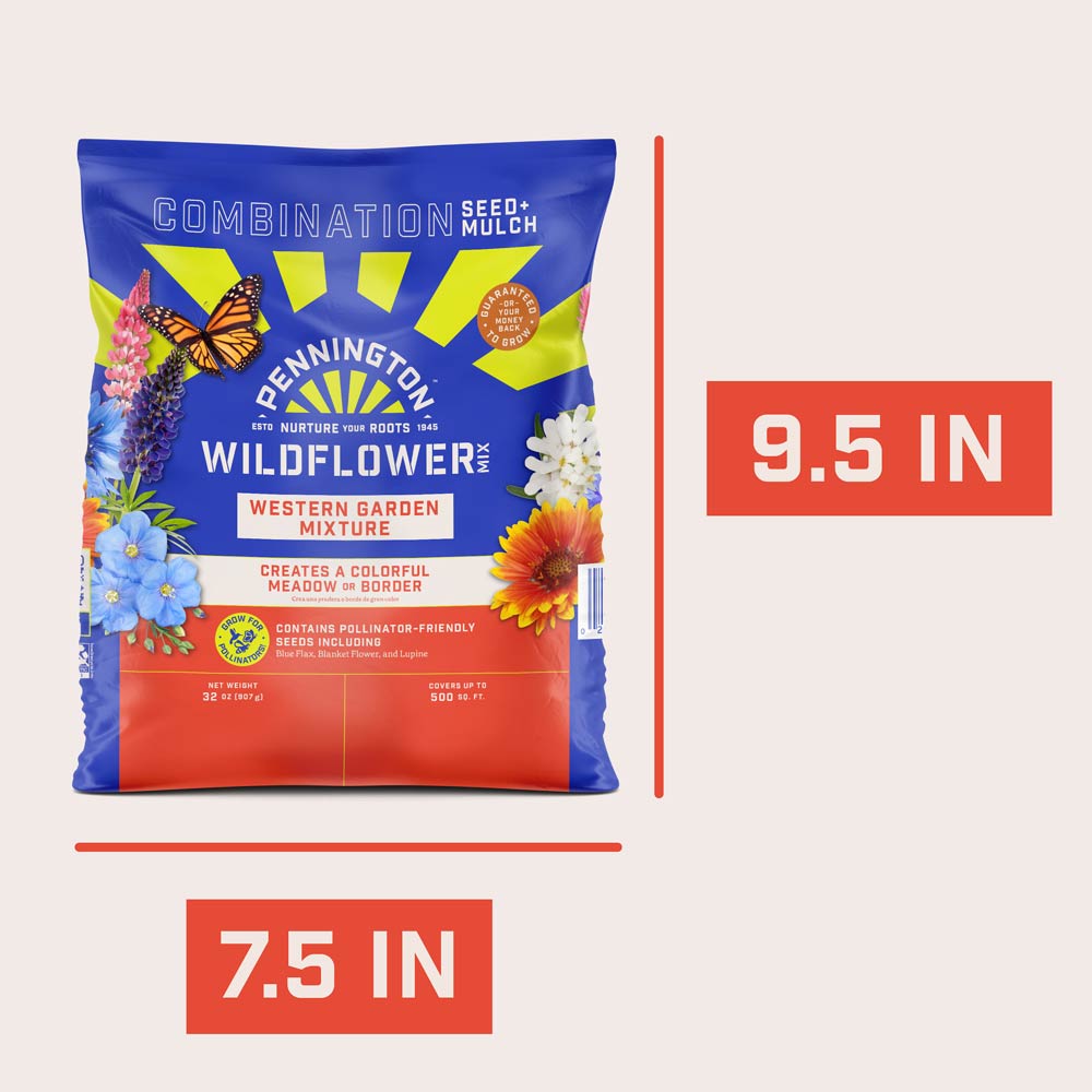 DG387-PE-Wildflower-Western-Garden-Mix-Alt-Images-13