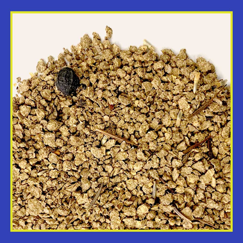 DG399-PE-Wildflower-Garden-Mix-Alt-Images-03