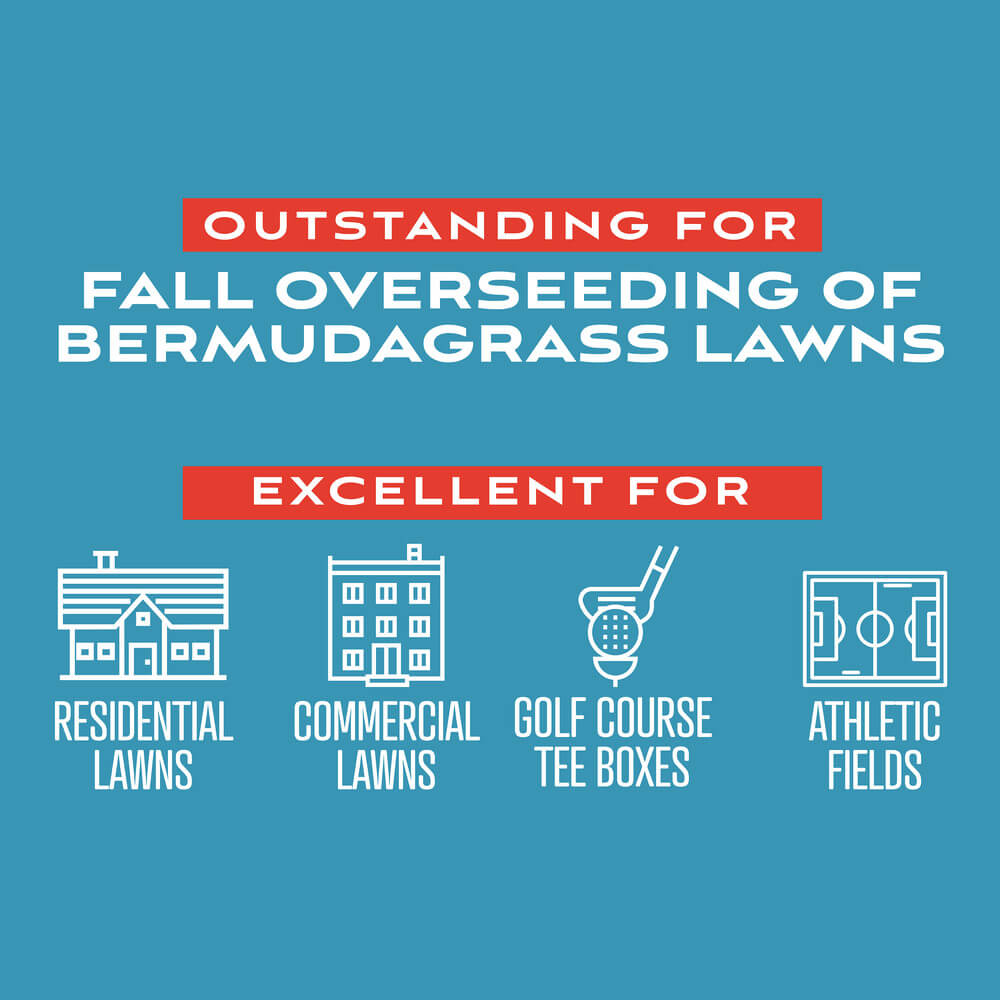FairwaySupremePerennialRyegrassWithFertilizer_AltImage02 jpg