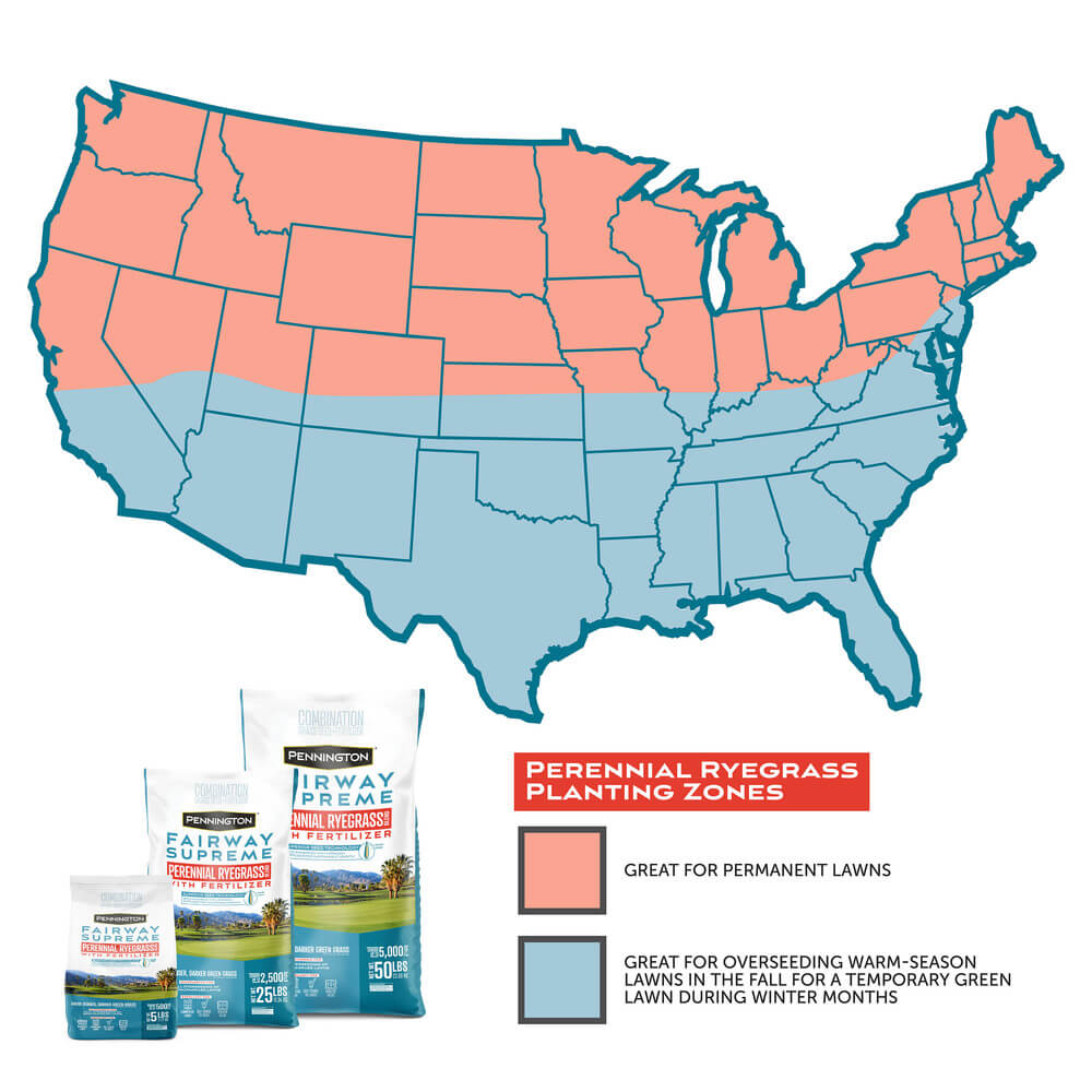FairwaySupremePerennialRyegrassWithFertilizer_AltImage03 jpg