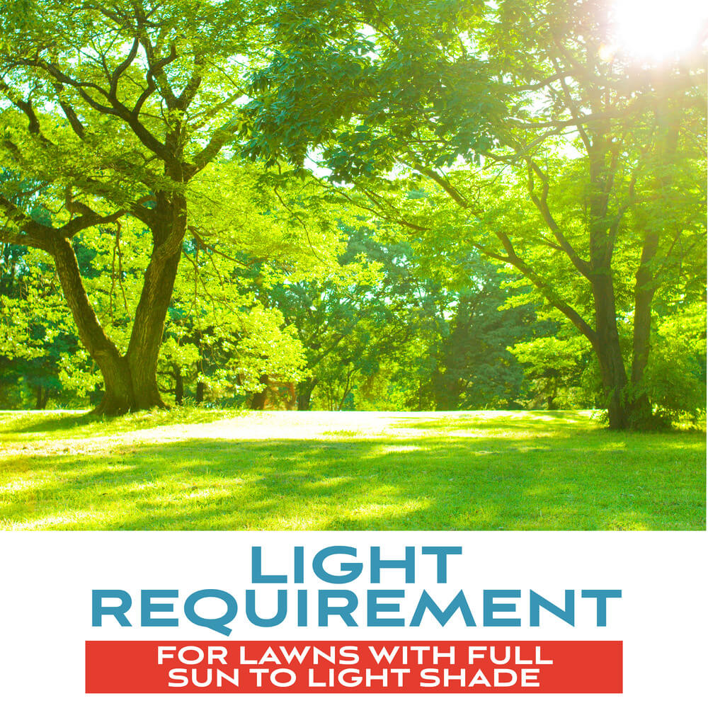 FairwaySupremePerennialRyegrassWithFertilizer_AltImage04 jpg