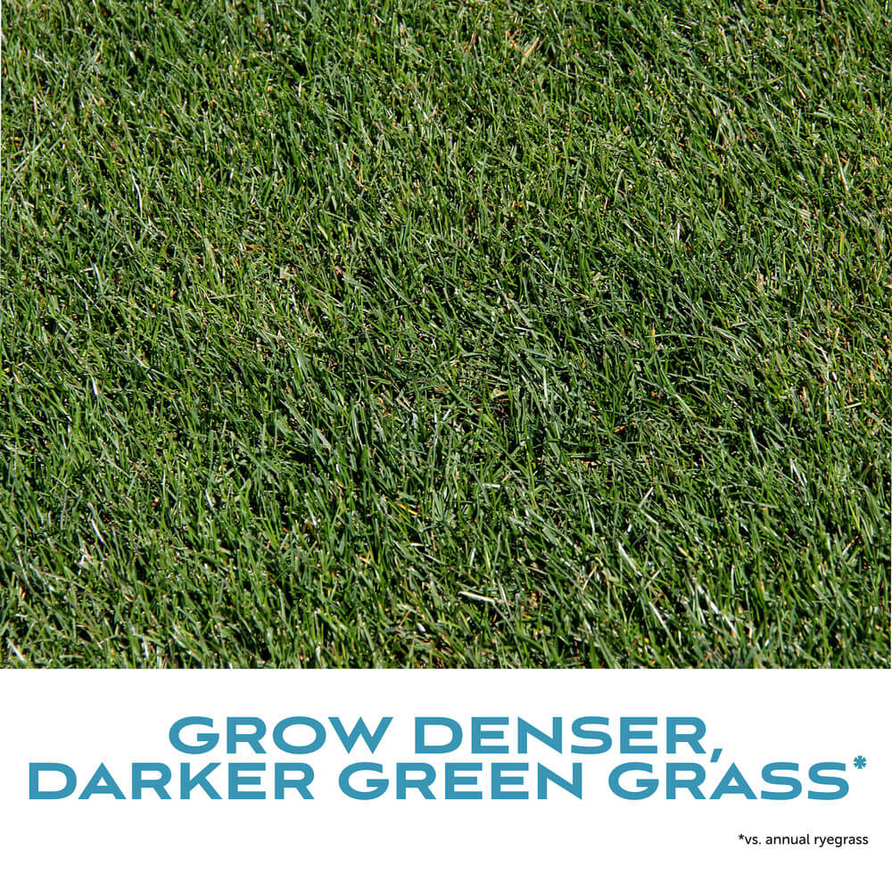 FairwaySupremePerennialRyegrassWithFertilizer_AltImage10 jpg
