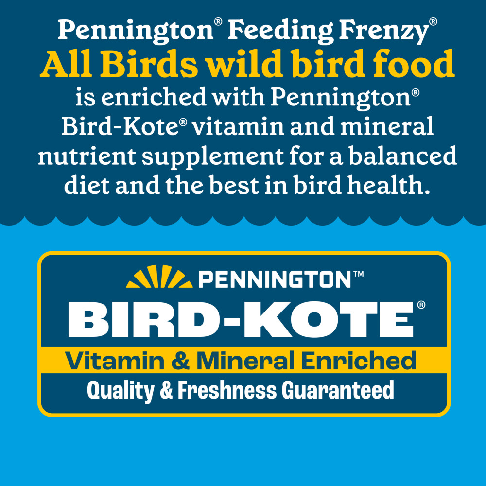 100552127-pennington-feeding-frenzy-all-birds-high-variety-blend-wild-bird-food-5-pounds-10