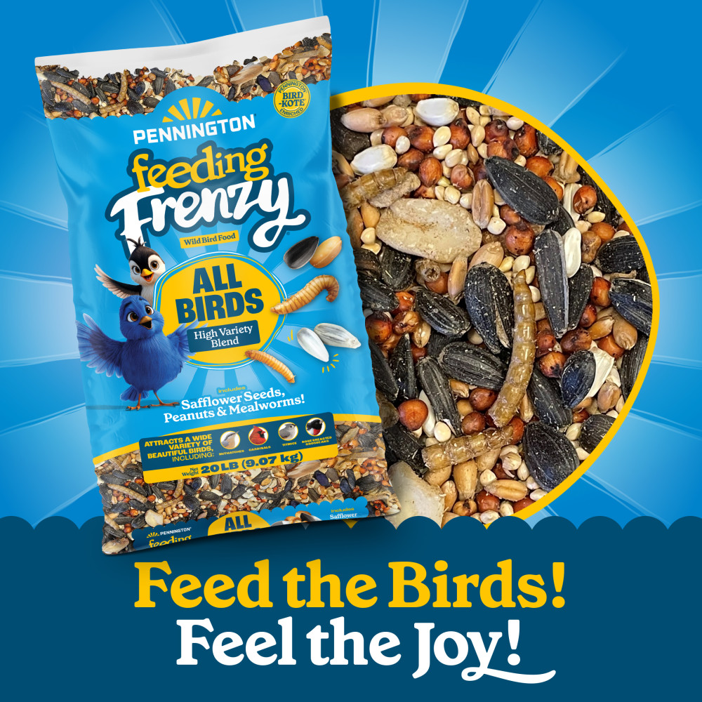 100552127-pennington-feeding-frenzy-all-birds-high-variety-blend-wild-bird-food-5-pounds-6
