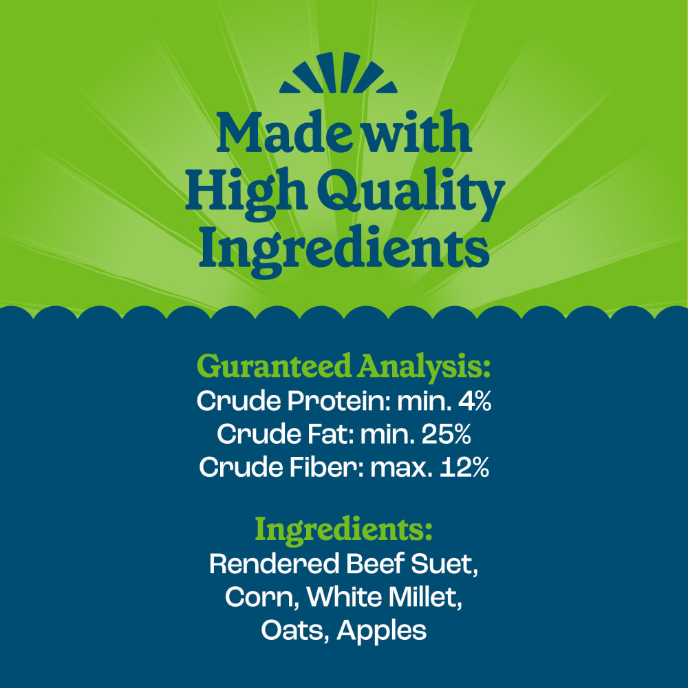 Pennington Feeding Frenzy Apple Treat Suet Cake 11.75 oz