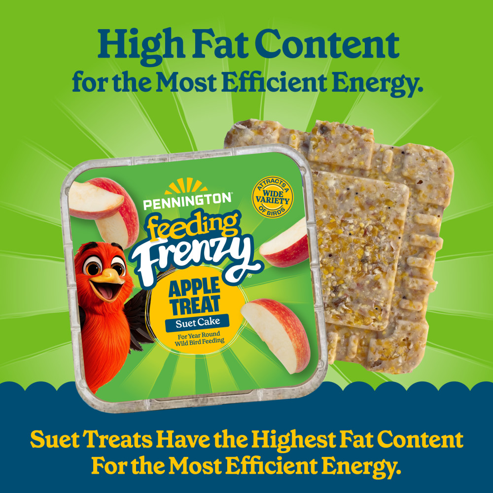 Pennington Feeding Frenzy Apple Treat Suet Cake 11.75 oz