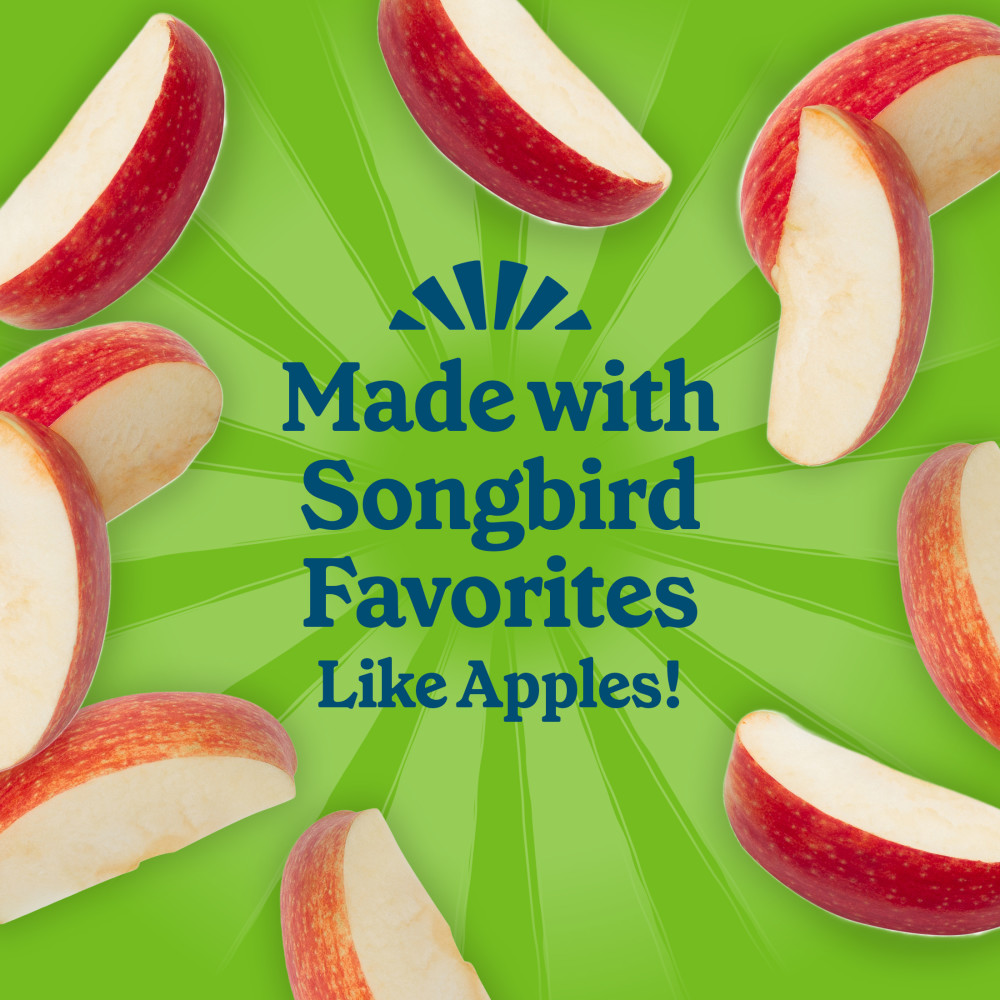 Pennington Feeding Frenzy Apple Treat Suet Cake 11.75 oz