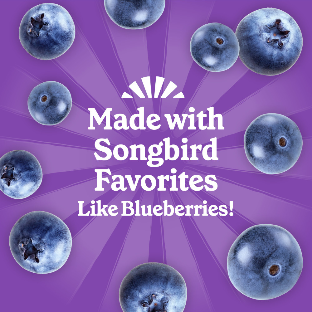 Pennington Feeding Frenzy Berry Treat Suet Cake 11.75 oz