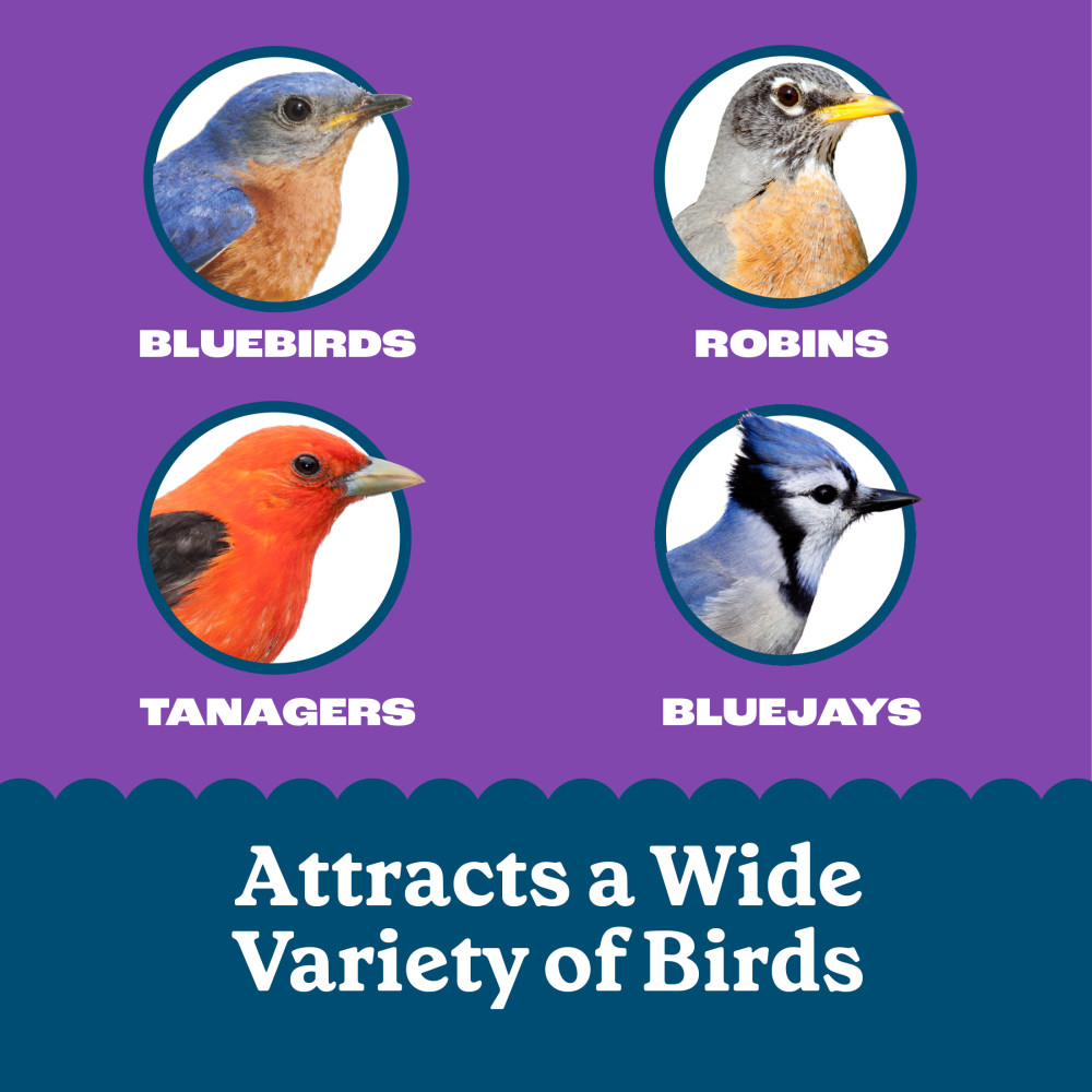 Pennington Feeding Frenzy Berry Treat Suet Cake 11.75 oz