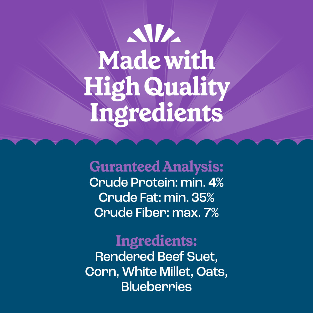 Pennington Feeding Frenzy Berry Treat Suet Cake 11.75 oz