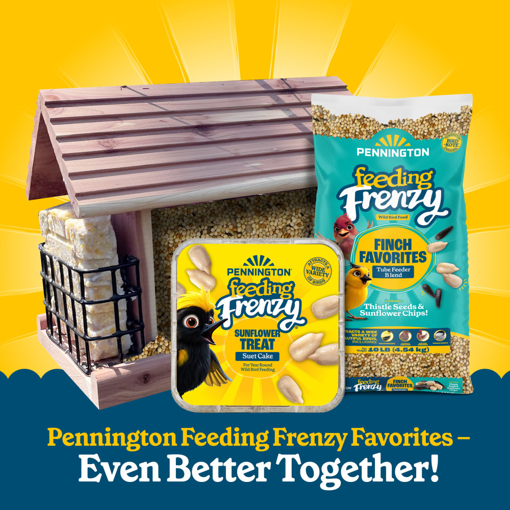 100552167-pennington-feeding-frenzy-finch-favorites-tube-feeder-blend-wild-bird-food-10-pounds-11