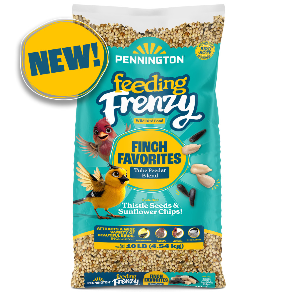 feeding-frenzy-finch-favorites-tube-feeder-blend-wild-bird-food-10-lb-3