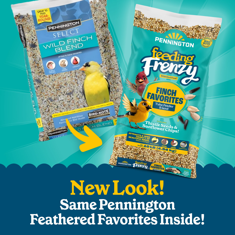 100552167-pennington-feeding-frenzy-finch-favorites-tube-feeder-blend-wild-bird-food-10-pounds-4