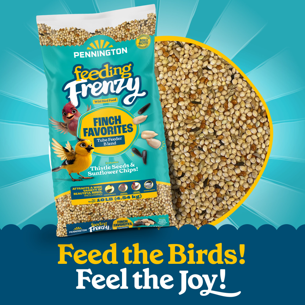 100552167-pennington-feeding-frenzy-finch-favorites-tube-feeder-blend-wild-bird-food-10-pounds-6